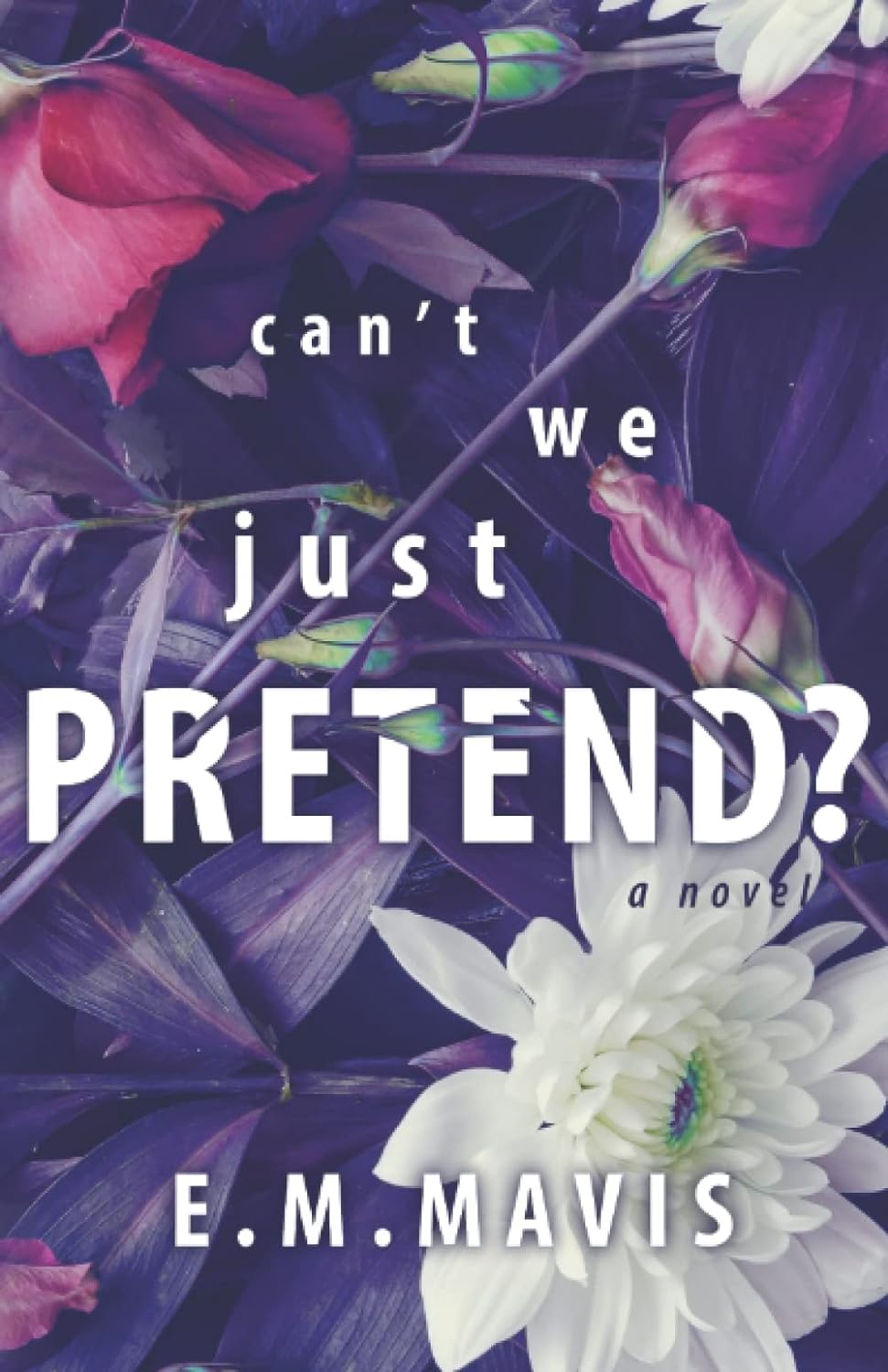 Can't We Just Pretend? book cover